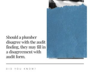 PIRB audit disagreement