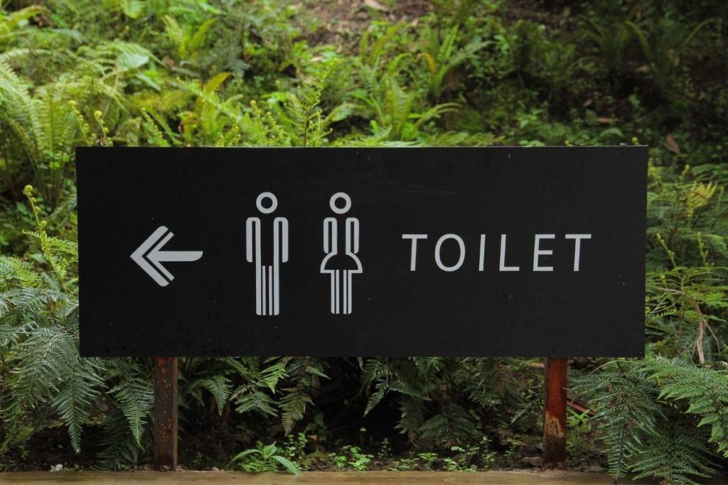 World Toilet Day 2020