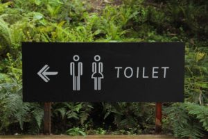 World Toilet Day 2020